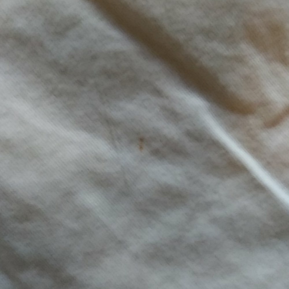 Roundtree & Yorke Cream Beige Shorts - Picture 4 of 4